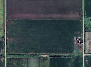 Campo · 14ha · Campo Agricola en Venta en Ayerza