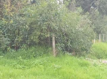Terreno · 10000m² · 1 Hectarea en Margarita Belen