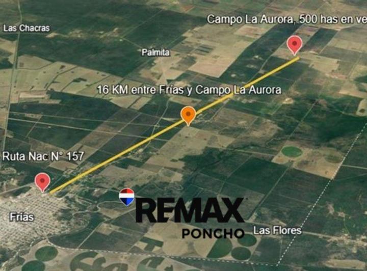 Campo · 500ha