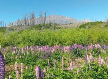Terreno · 3000m² · Tu Refugio en La Patagonia: Terreno de 3.000 m²
