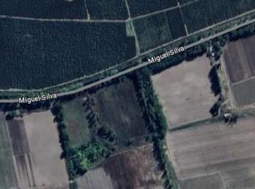 Terreno · 5000m² · Lote Venta Tunuyan