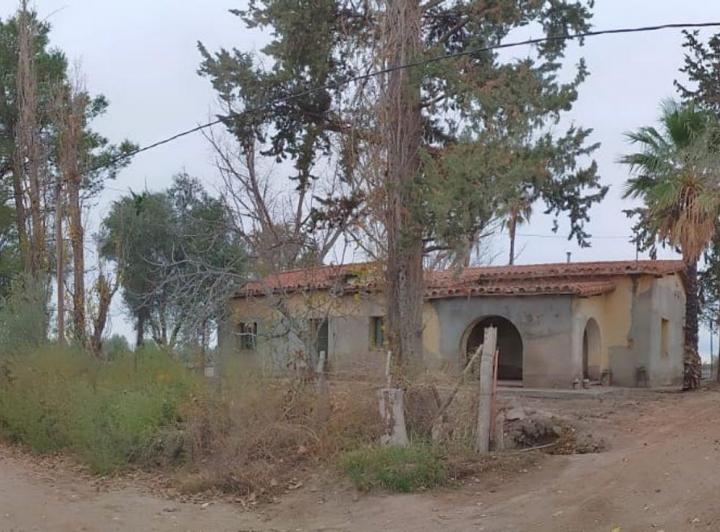 Campo · 4ha