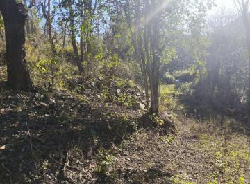 Terreno · 15150m² · Venta Lote Camino Pan de Azucar