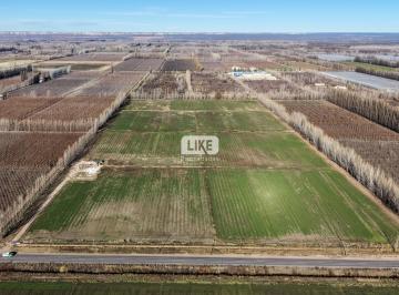 Terreno · 125000m² · Ruta 65, Juan Jose Gomez