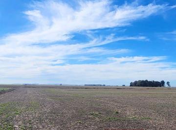 Terreno · 78ha · Campo en Benito Juarez Venta