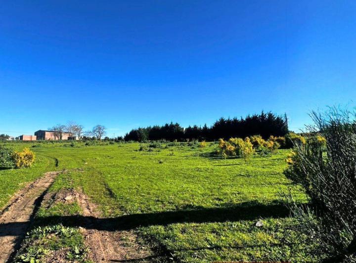 Terreno · 486m²