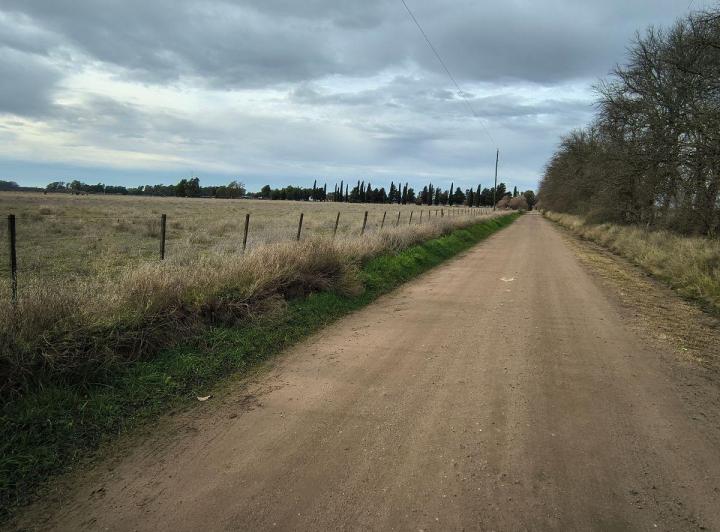 Campo · 60ha