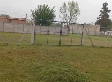 Terreno , Pilar · Vendo Terreno en El Barrio El Cruce Pilar