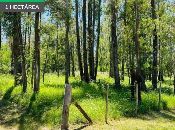 Terreno · 10000m²
