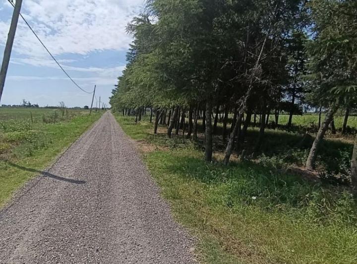 Campo · 24000m²
