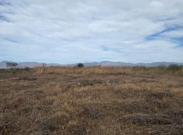 Terreno · 10000m² · Venta Terreno - Una Hectárea