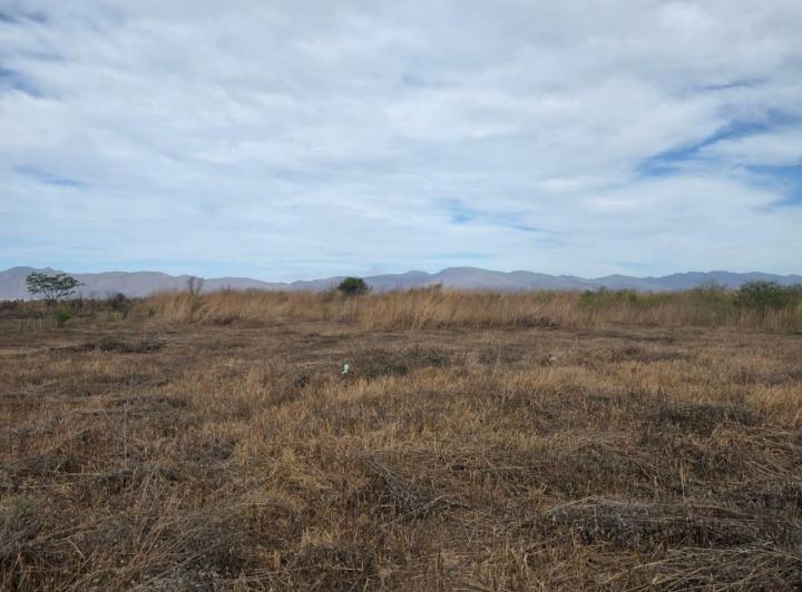 Terreno · 10000m²