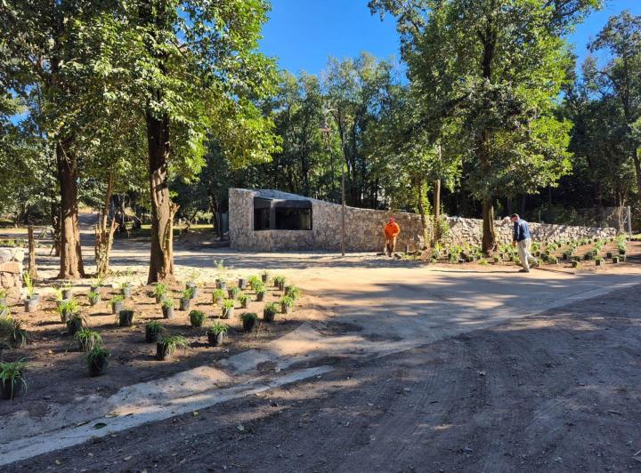 Terreno · 597m²