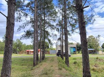 Casa · 348m² · La Casona de Don Carlos, Sobre Ruta, Paso de La Patria