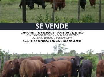 Campo , Sol de Julio · Vendo Campo - Sol de Julio - Santiago
