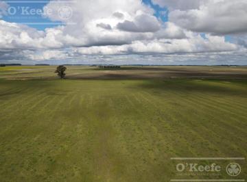 Campo · 147ha · Campo 80 % Agrícola en Venta – 147 Has - Claraz, Necochea