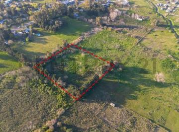 Terreno · 10000m² · Lote en Venta en Sicardi Hectarea en Villa Garibaldi
