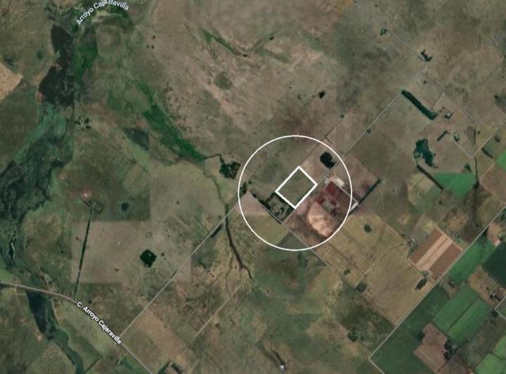 Campo · 11ha