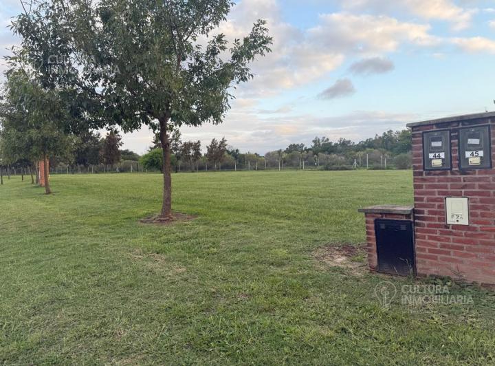 Terreno · 926m²
