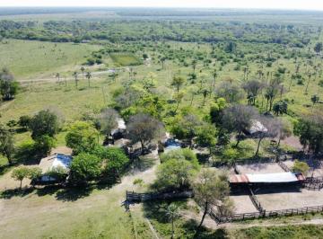 Campo · 791m² - Viceconte Propiedades · Campo Ganadero 791 Ha Provincia de Formosa