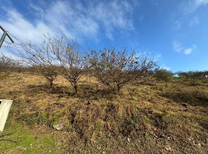 Terreno · 1307m²