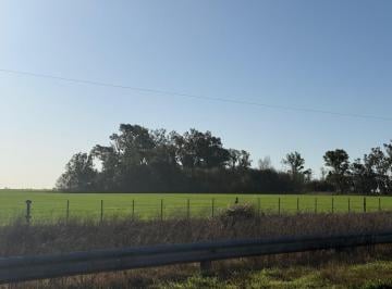 Campo · 10ha · Venta Campo 10 Hectáreas Sobre Ruta Nacional 33