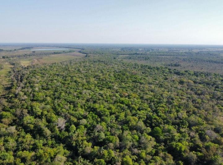 Campo · 100m²