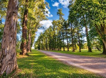 Terreno · 1000m² · Terreno Lote en Venta en Villa de Campo Tres Pinos, Luján, G. B. a. Zona Oeste