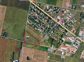 Terreno · 1000m² · Venta/terreno/sector Tranquilo/residencial