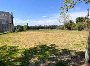 Terreno · 1005m² · Lote en Venta Santa Catalina a La Laguna