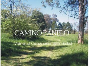 Terreno · 3315m² · Loteo Camino Panelo - Venta de Terreno en Cañuelas