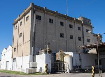 Bodega-Galpón · 12500m² · Galpón en Mercedes