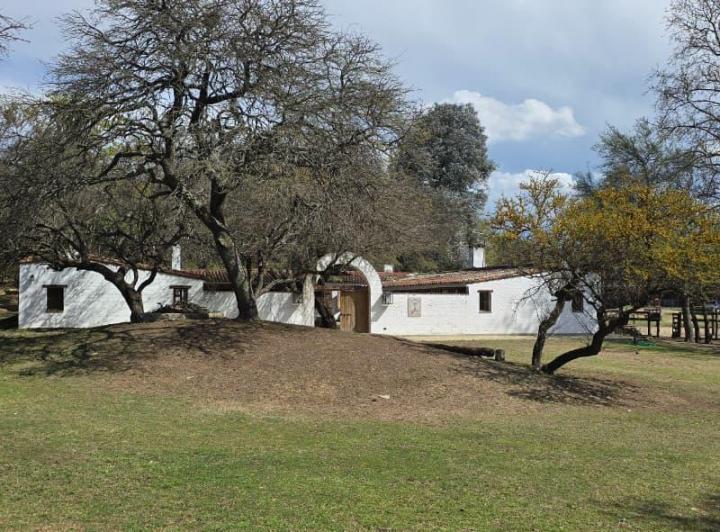 Terreno · 16ha