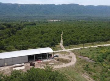 Campo , Paclín · Finca Nogalera en Venta – 105,82 Has – Monte Potrero, Paclín, Catamarca