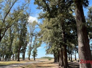 Terreno · 1050m² · Lote Ubicado en El Barrio Laguna Dentro del Complejo "Villa de Campo Tres Pinos"