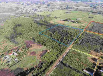 Terreno · 30000m² · 3 Hectáreas en Venta en Paso de La Arena.