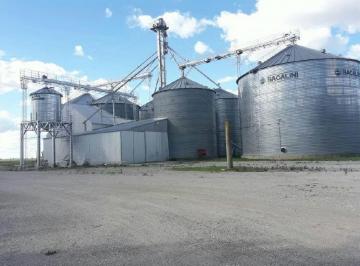 Bodega-Galpón · 445m² · 6 Ambientes · Planta de Silos y Galpón Serodino