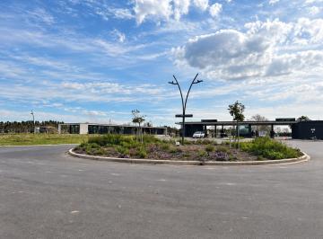 Terreno · 506m² · Terreno en Venta en Silvestre Nordelta Valor Sin Cuotas