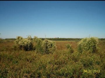 Terreno · 140000m² · 14 Hectáreas en Isla Frente a Rosario