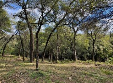 Terreno · 8000m² · Macro Lote en Venta – Villa Warcalde