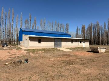 Bodega-Galpón de 2 ambientes, Plottier · Alquiler de Galpón en Zona Residencial de Plottier