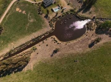 Campo , Ezeiza · Campo en Venta de 74ha Ubicado en Ezeiza