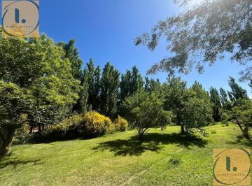 Campo · 333m² · Chacra Ne Centenario