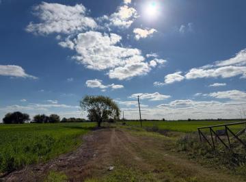 Campo , Campo Andino · Campo de 10 Ha en Venta en Campo Andino