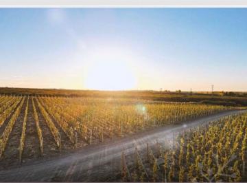 Terreno , Las Compuertas · Lote en Venta, Estancia El Caramillo, Lujan de Cuyo