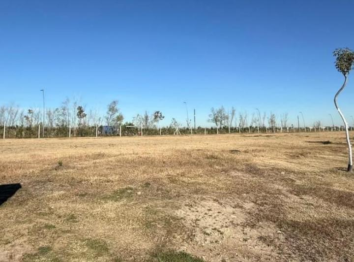 Terreno · 620m²