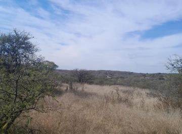 Terreno · 25000m² · Venta Terreno 30.000 m²
