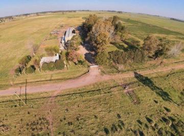 Campo , Cañuelas · Campo en Venta de 4.38 Ha Ubicado en Campos de Cañuelas