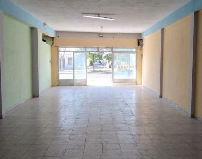 Local comercial · 550m² · 2 Ambientes
