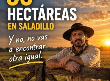 Campo , Saladillo · Campo 55 Ha Mixtas en Saladillo